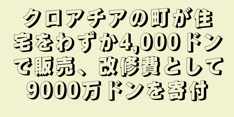 クロアチアの町が住宅をわずか4,000ドンで販売、改修費として9000万ドンを寄付