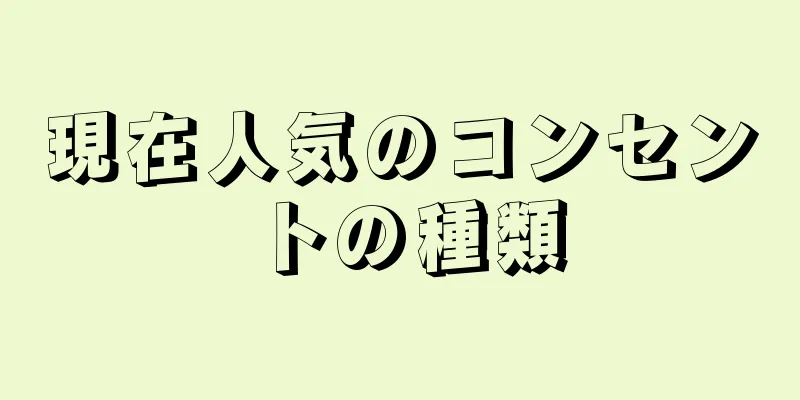現在人気のコンセントの種類