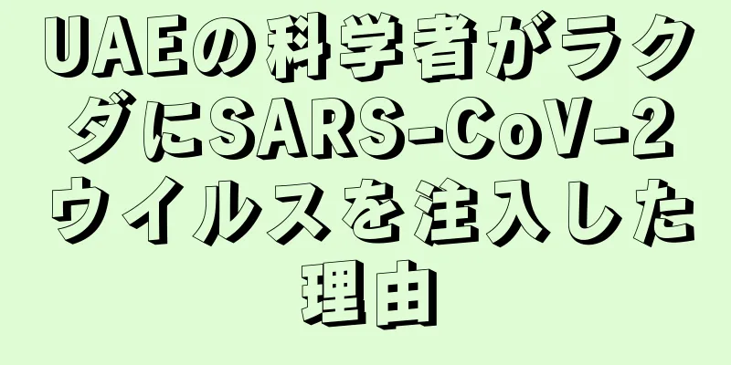 UAEの科学者がラクダにSARS-CoV-2ウイルスを注入した理由