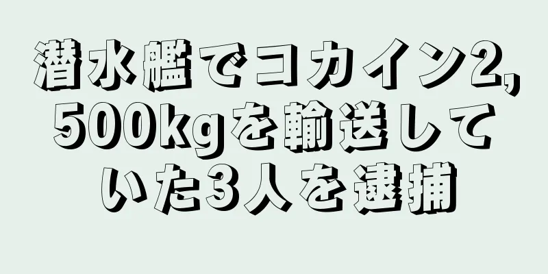 潜水艦でコカイン2,500kgを輸送していた3人を逮捕