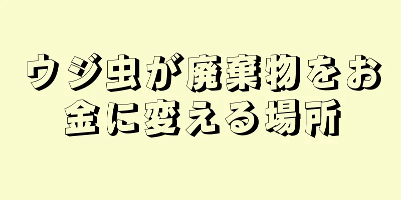 ウジ虫が廃棄物をお金に変える場所