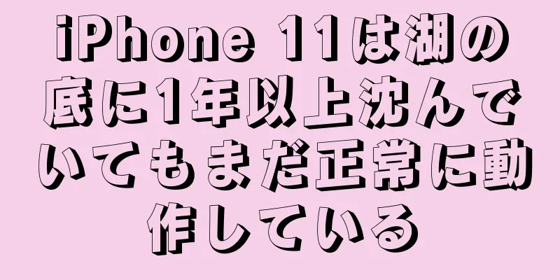 iPhone 11は湖の底に1年以上沈んでいてもまだ正常に動作している