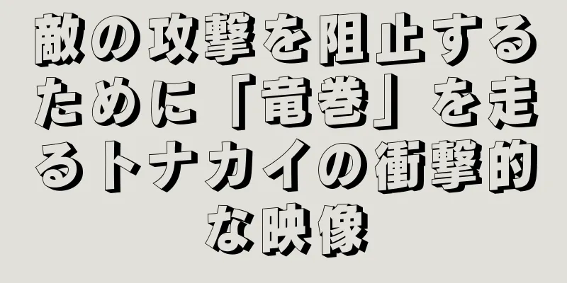 敵の攻撃を阻止するために「竜巻」を走るトナカイの衝撃的な映像
