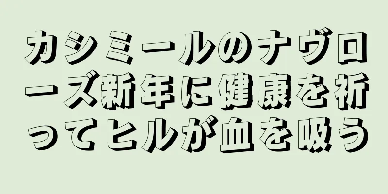 カシミールのナヴローズ新年に健康を祈ってヒルが血を吸う