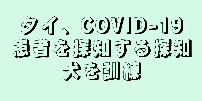 タイ、COVID-19患者を探知する探知犬を訓練