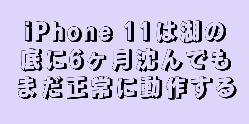 iPhone 11は湖の底に6ヶ月沈んでもまだ正常に動作する