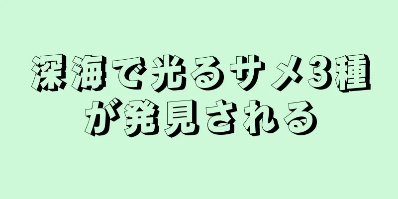深海で光るサメ3種が発見される