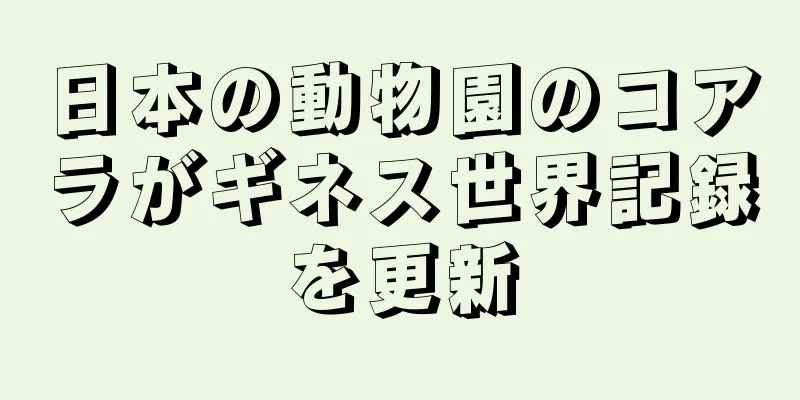日本の動物園のコアラがギネス世界記録を更新
