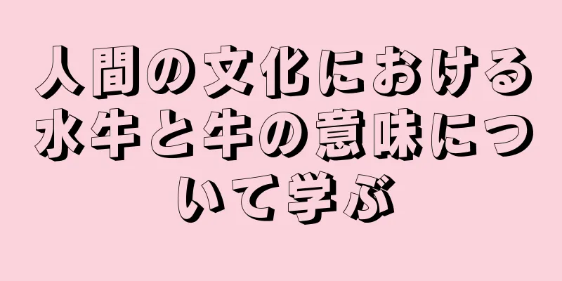 人間の文化における水牛と牛の意味について学ぶ