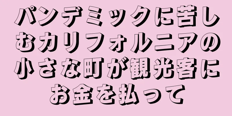 パンデミックに苦しむカリフォルニアの小さな町が観光客にお金を払って