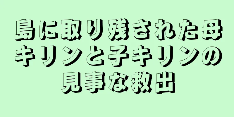 島に取り残された母キリンと子キリンの見事な救出