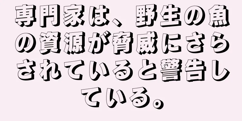 専門家は、野生の魚の資源が脅威にさらされていると警告している。