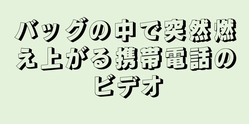 バッグの中で突然燃え上がる携帯電話のビデオ