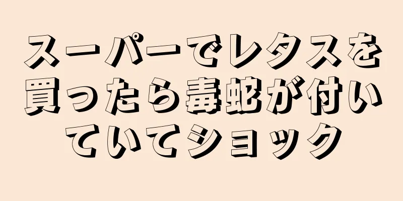 スーパーでレタスを買ったら毒蛇が付いていてショック