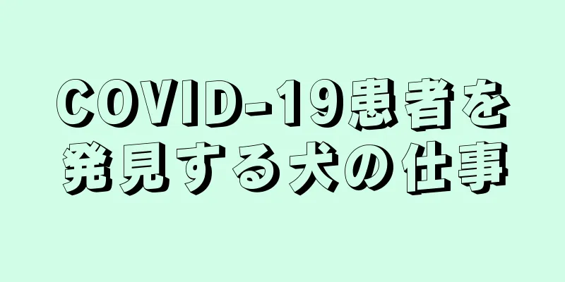 COVID-19患者を発見する犬の仕事