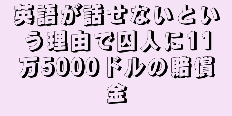 英語が話せないという理由で囚人に11万5000ドルの賠償金