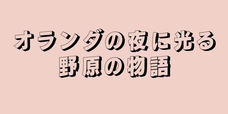 オランダの夜に光る野原の物語