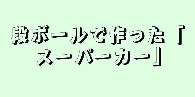 段ボールで作った「スーパーカー」