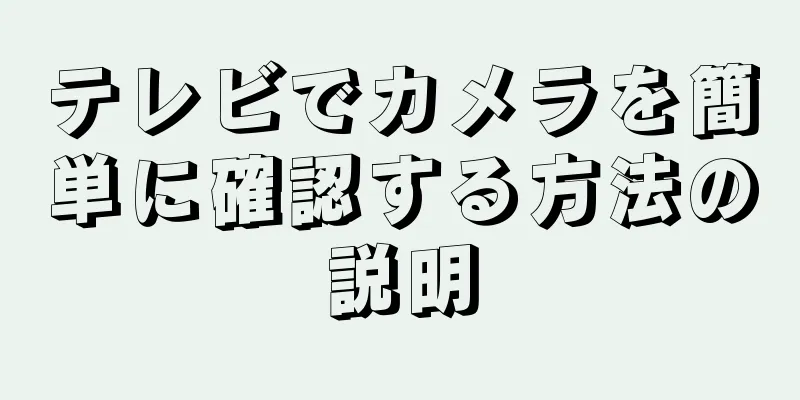 テレビでカメラを簡単に確認する方法の説明