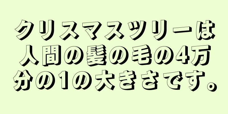 クリスマスツリーは人間の髪の毛の4万分の1の大きさです。