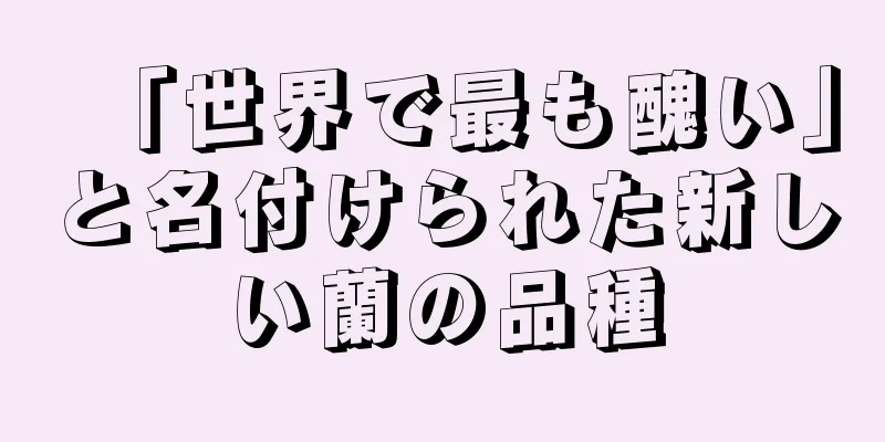 「世界で最も醜い」と名付けられた新しい蘭の品種