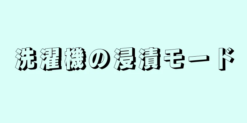 洗濯機の浸漬モード