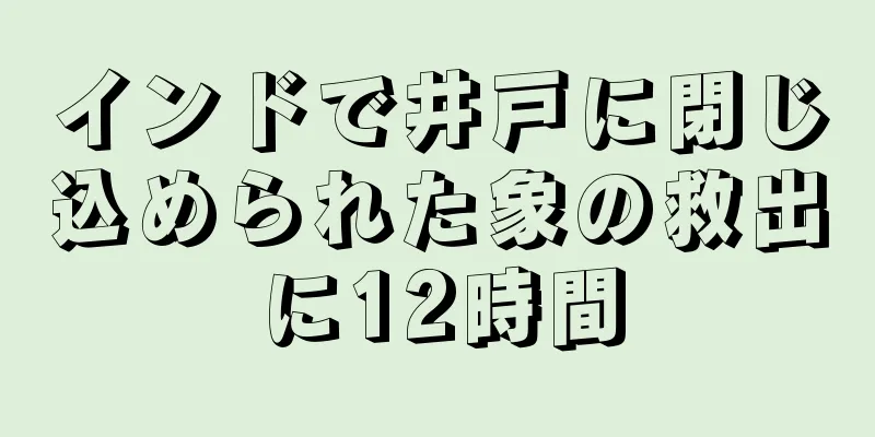 インドで井戸に閉じ込められた象の救出に12時間