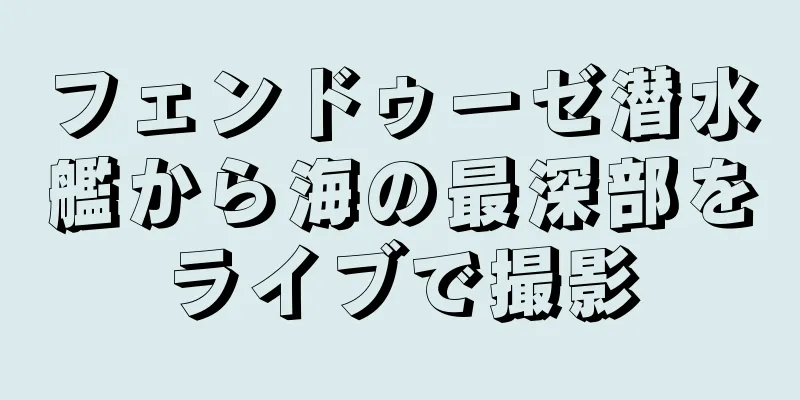 フェンドゥーゼ潜水艦から海の最深部をライブで撮影