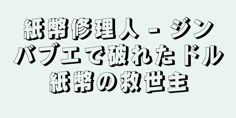 紙幣修理人 - ジンバブエで破れたドル紙幣の救世主