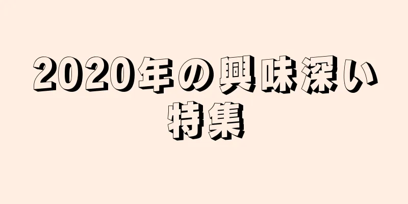 2020年の興味深い特集