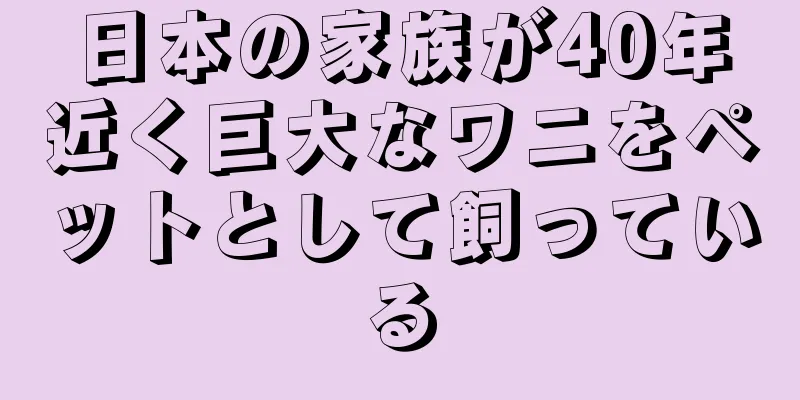 日本の家族が40年近く巨大なワニをペットとして飼っている