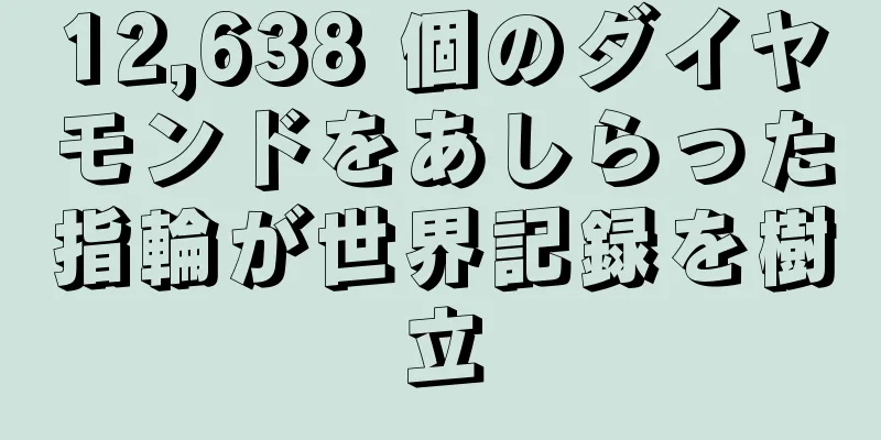 12,638 個のダイヤモンドをあしらった指輪が世界記録を樹立