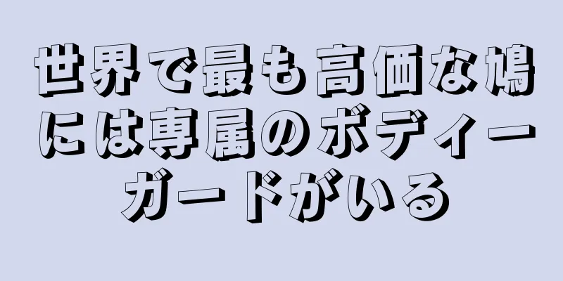 世界で最も高価な鳩には専属のボディーガードがいる