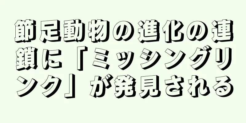 節足動物の進化の連鎖に「ミッシングリンク」が発見される