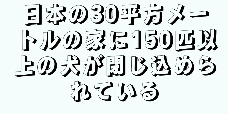 日本の30平方メートルの家に150匹以上の犬が閉じ込められている