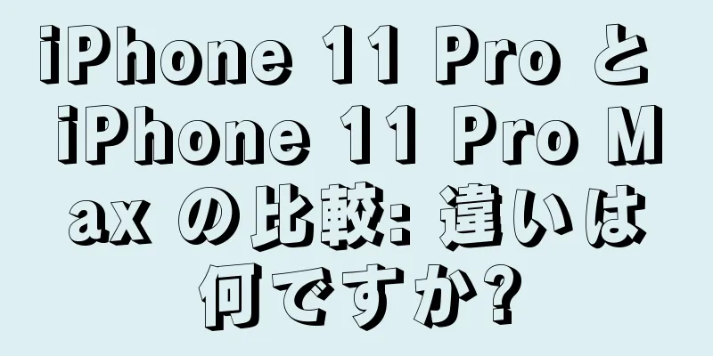 iPhone 11 Pro と iPhone 11 Pro Max の比較: 違いは何ですか?