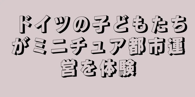 ドイツの子どもたちがミニチュア都市運営を体験