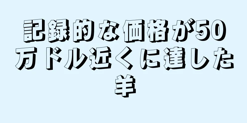 記録的な価格が50万ドル近くに達した羊