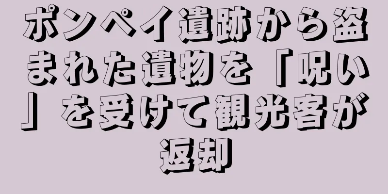ポンペイ遺跡から盗まれた遺物を「呪い」を受けて観光客が返却