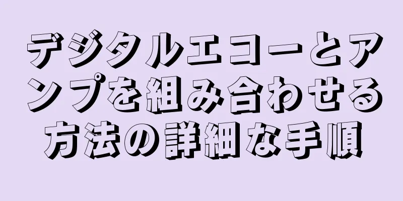 デジタルエコーとアンプを組み合わせる方法の詳細な手順