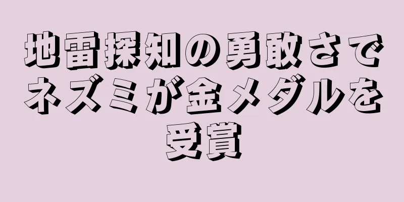 地雷探知の勇敢さでネズミが金メダルを受賞