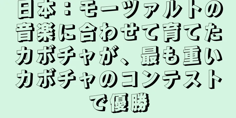 日本：モーツァルトの音楽に合わせて育てたカボチャが、最も重いカボチャのコンテストで優勝
