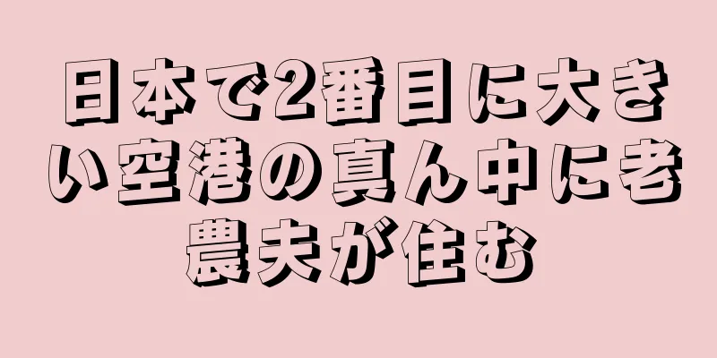 日本で2番目に大きい空港の真ん中に老農夫が住む