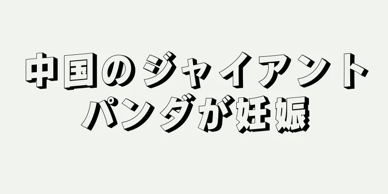 中国のジャイアントパンダが妊娠