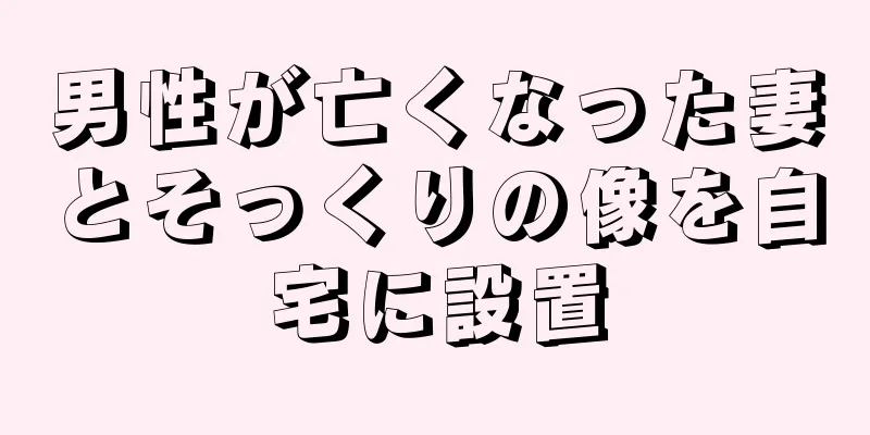 男性が亡くなった妻とそっくりの像を自宅に設置