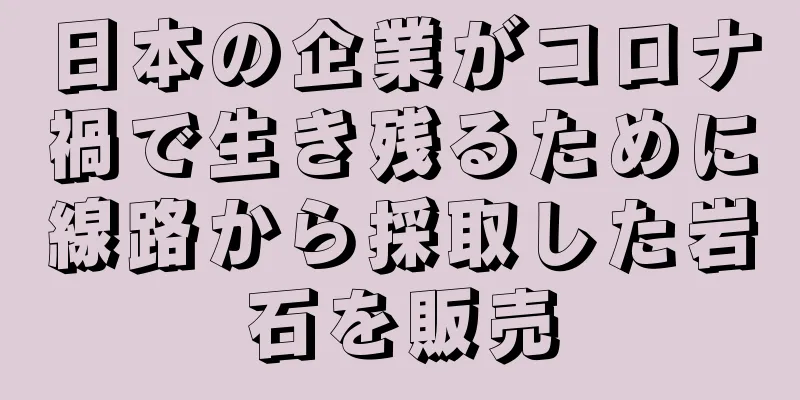 日本の企業がコロナ禍で生き残るために線路から採取した岩石を販売