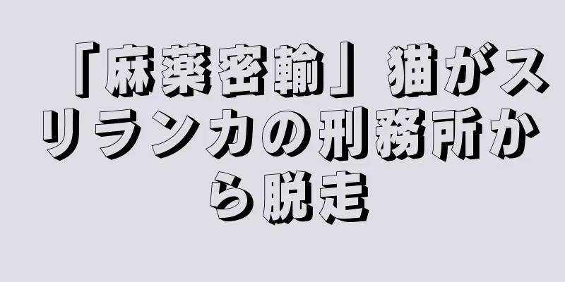 「麻薬密輸」猫がスリランカの刑務所から脱走