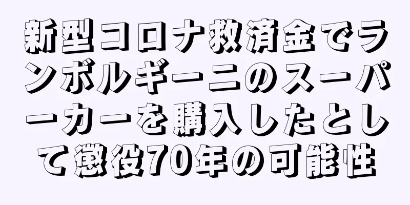 新型コロナ救済金でランボルギーニのスーパーカーを購入したとして懲役70年の可能性