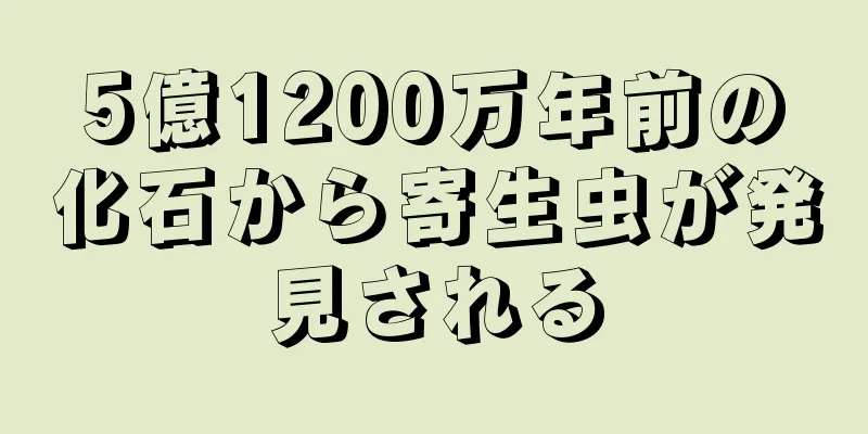 5億1200万年前の化石から寄生虫が発見される