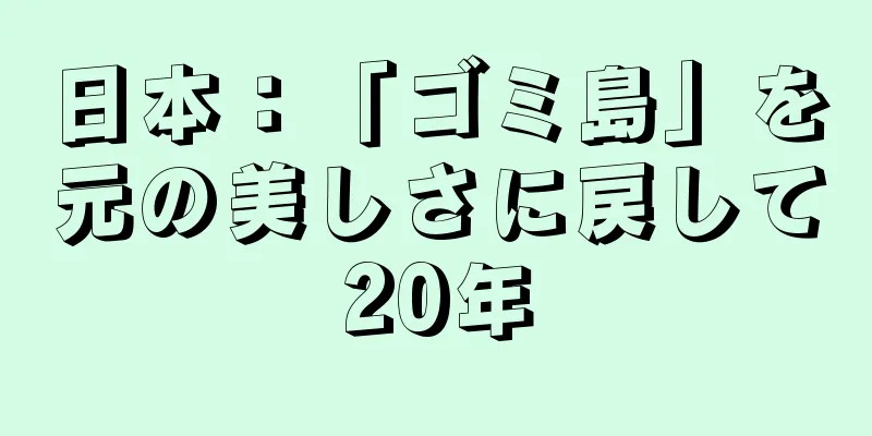 日本：「ゴミ島」を元の美しさに戻して20年